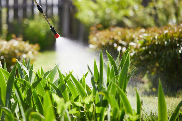 24/7 Emergency Cockroach Control experts in Madisonville, KY