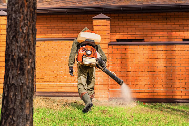 Trusted Termite Control service in Madisonville, KY - Nex Pest Control